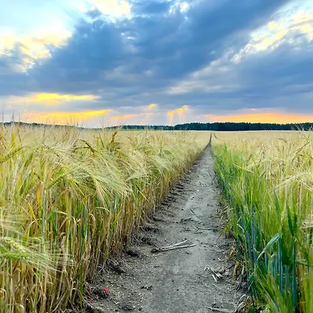 Ruhe Oase Steinhoefel - Balkon, Naturblick, Design-maisonette-apartment - Nahe Fuerstenwalde-spree Apartament