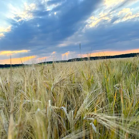 Ruhe Oase Steinhoefel - Balkon, Naturblick, Design-maisonette-apartment - Nahe Fuerstenwalde-spree