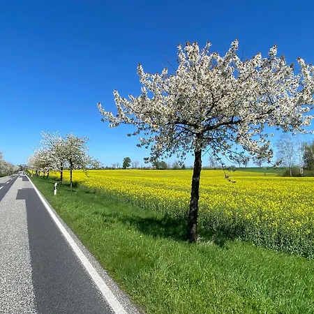 Ruhe Oase Steinhoefel - Balkon, Naturblick, Design-maisonette-apartment - Nahe Fuerstenwalde-spree *