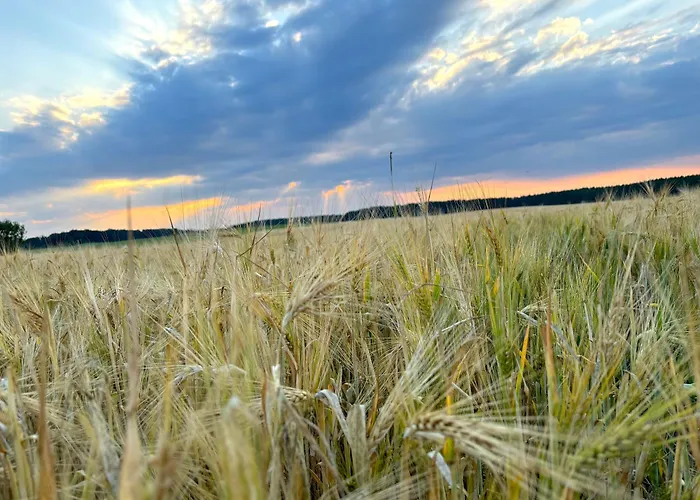 דירה Ruhe Oase Steinhoefel - Balkon, Naturblick, Design-maisonette-apartment - Nahe Fuerstenwalde-spree Steinhofel